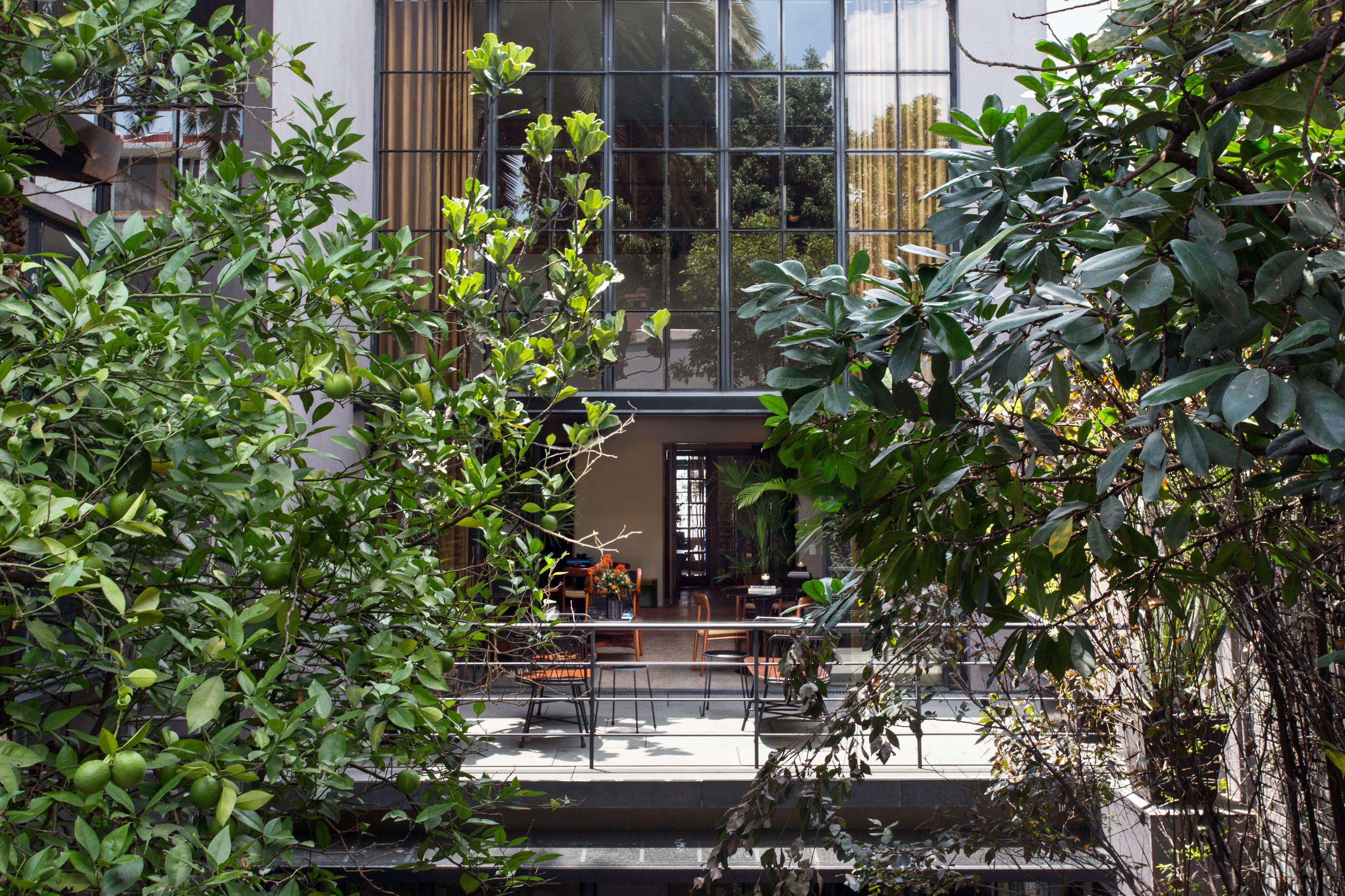 Casa 9 Hotel - Mexico City — Photos 3
